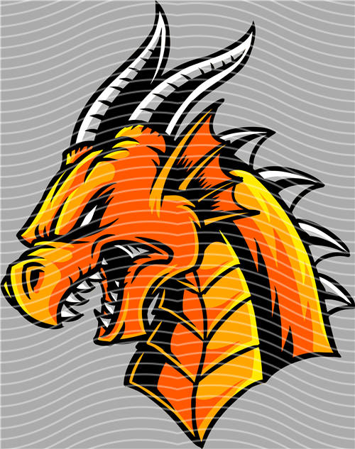 Street design-JT 4629